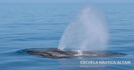 escuelanauticaaltair