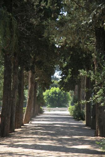 Jardins Terramar 1