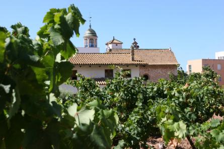 malvasia de sitges